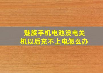 魅族手机电池没电关机以后充不上电怎么办