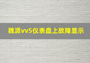 魏派vv5仪表盘上故障显示