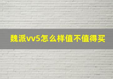 魏派vv5怎么样值不值得买