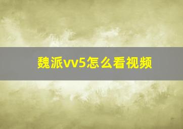 魏派vv5怎么看视频