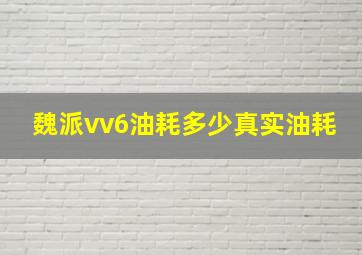 魏派vv6油耗多少真实油耗