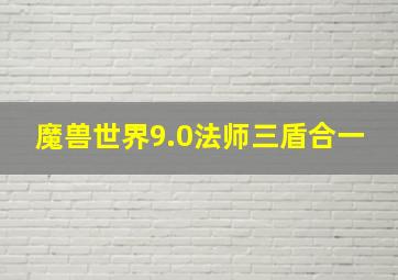 魔兽世界9.0法师三盾合一