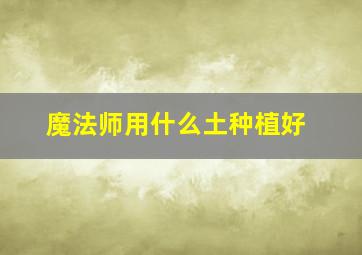 魔法师用什么土种植好