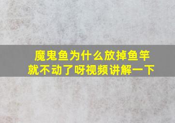 魔鬼鱼为什么放掉鱼竿就不动了呀视频讲解一下