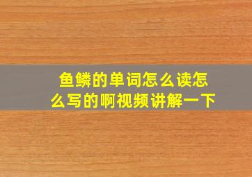 鱼鳞的单词怎么读怎么写的啊视频讲解一下