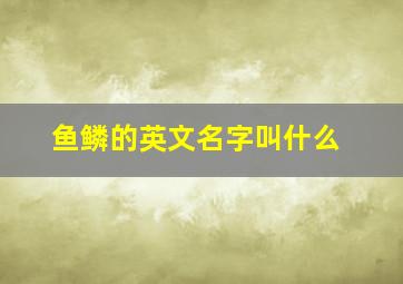 鱼鳞的英文名字叫什么