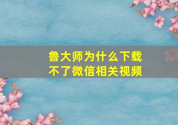 鲁大师为什么下载不了微信相关视频