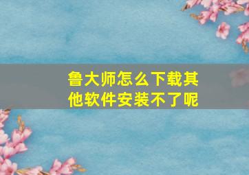 鲁大师怎么下载其他软件安装不了呢