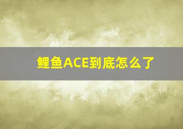 鲤鱼ACE到底怎么了