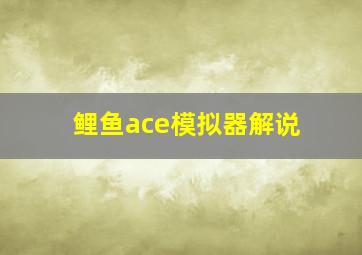 鲤鱼ace模拟器解说