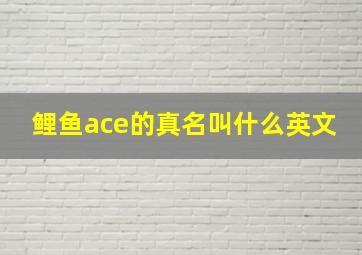 鲤鱼ace的真名叫什么英文