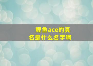 鲤鱼ace的真名是什么名字啊