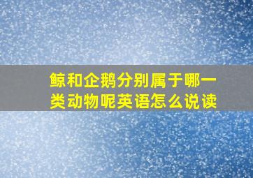 鲸和企鹅分别属于哪一类动物呢英语怎么说读