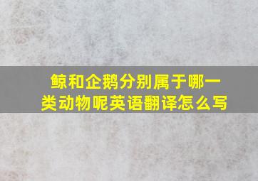 鲸和企鹅分别属于哪一类动物呢英语翻译怎么写