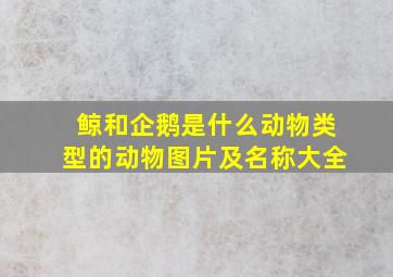 鲸和企鹅是什么动物类型的动物图片及名称大全