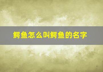 鳄鱼怎么叫鳄鱼的名字