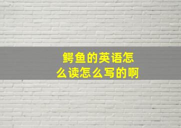 鳄鱼的英语怎么读怎么写的啊