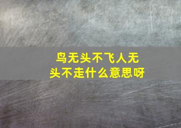 鸟无头不飞人无头不走什么意思呀