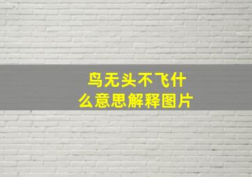 鸟无头不飞什么意思解释图片