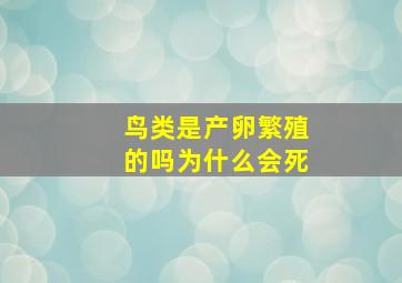 鸟类是产卵繁殖的吗为什么会死