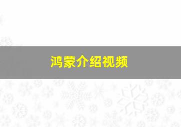 鸿蒙介绍视频