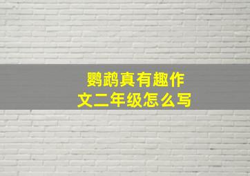 鹦鹉真有趣作文二年级怎么写