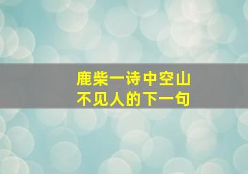 鹿柴一诗中空山不见人的下一句