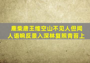 鹿柴唐王维空山不见人但闻人语响反景入深林复照青苔上