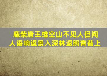 鹿柴唐王维空山不见人但闻人语响返景入深林返照青苔上