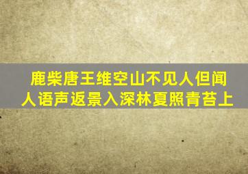 鹿柴唐王维空山不见人但闻人语声返景入深林夏照青苔上