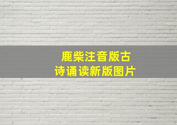 鹿柴注音版古诗诵读新版图片