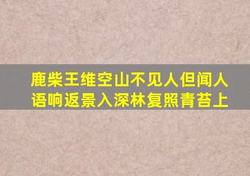 鹿柴王维空山不见人但闻人语响返景入深林复照青苔上