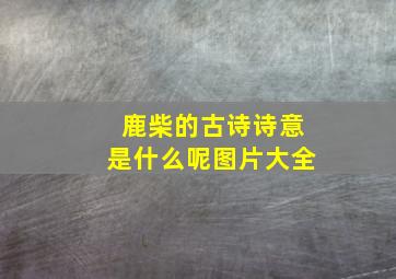 鹿柴的古诗诗意是什么呢图片大全