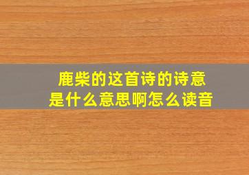 鹿柴的这首诗的诗意是什么意思啊怎么读音