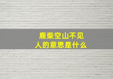 鹿柴空山不见人的意思是什么