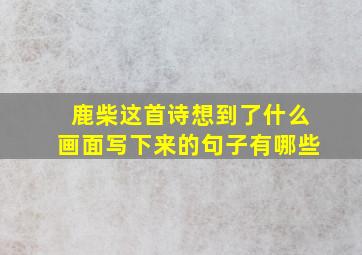 鹿柴这首诗想到了什么画面写下来的句子有哪些