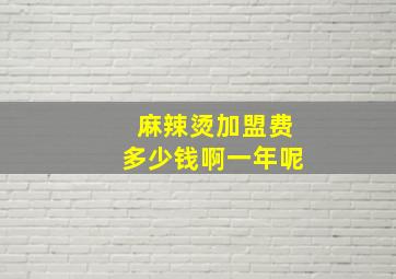 麻辣烫加盟费多少钱啊一年呢