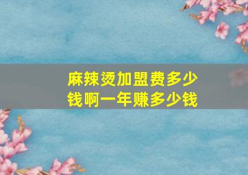 麻辣烫加盟费多少钱啊一年赚多少钱