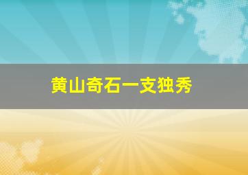 黄山奇石一支独秀