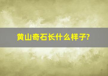 黄山奇石长什么样子?