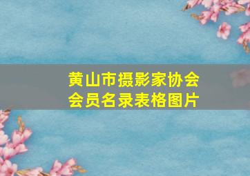 黄山市摄影家协会会员名录表格图片