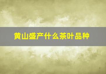 黄山盛产什么茶叶品种