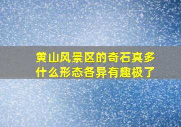 黄山风景区的奇石真多什么形态各异有趣极了