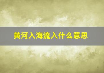 黄河入海流入什么意思