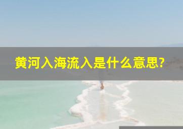 黄河入海流入是什么意思?