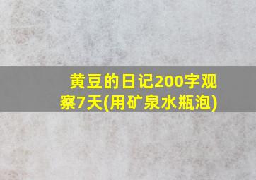 黄豆的日记200字观察7天(用矿泉水瓶泡)