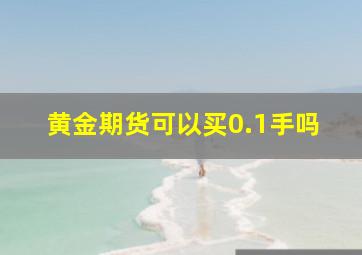 黄金期货可以买0.1手吗