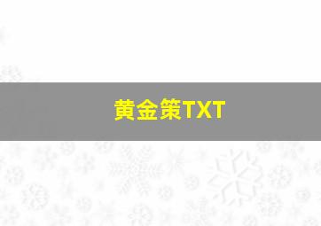 黄金策TXT