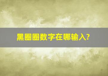 黑圈圈数字在哪输入?