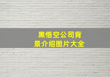 黑悟空公司背景介绍图片大全